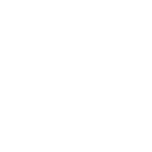 white icon for extensions